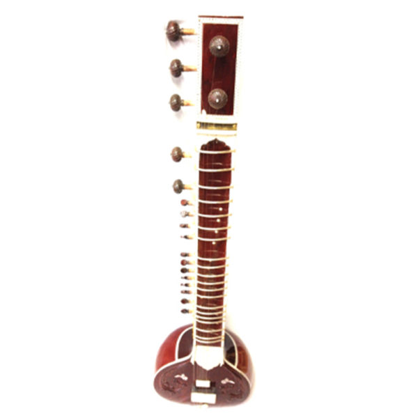 Student Model Sitar