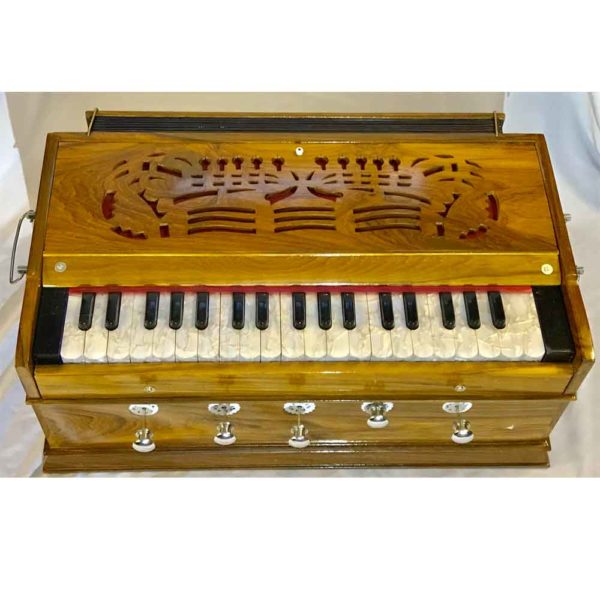 Beginner Harmonium