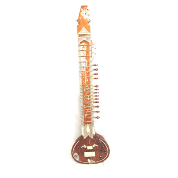 Left Handed Guru Electro Sitar